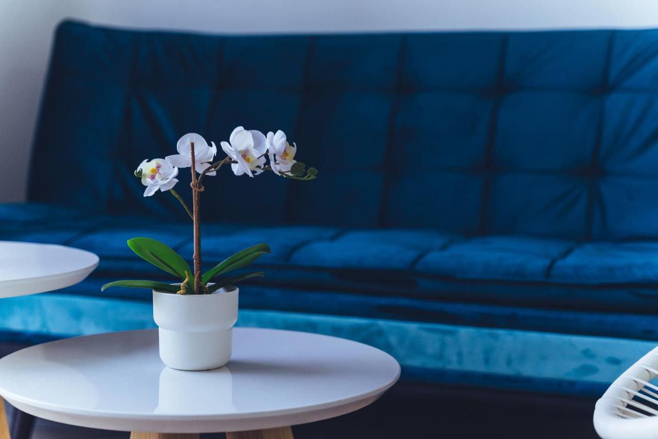 Apartamento Alisios Beach Puerto Del Carmen بويرتو ذيل كارمين المظهر الخارجي الصورة